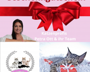 Katzenprofis weihnachten Geschenkgutschein